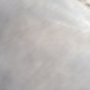 Meet your Posher, Mayra